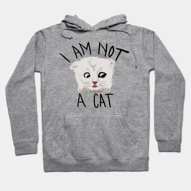 I Am Not A Cat Hoodie by Becki Sturgeon